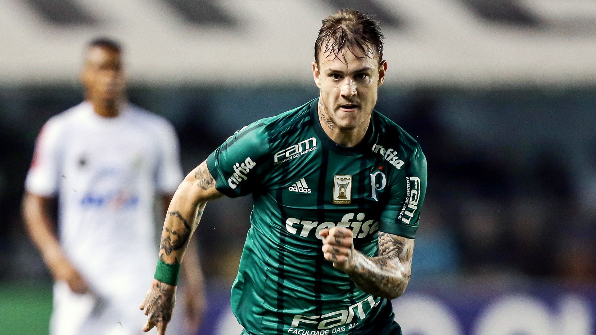 Roger Guedes Santos Palmeiras Brasileirao Serie A 14062017