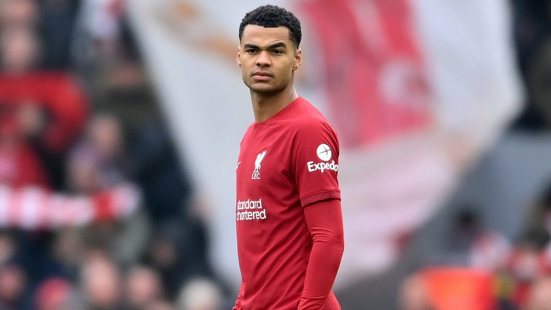 Cody Gakpo Liverpool 2022-23