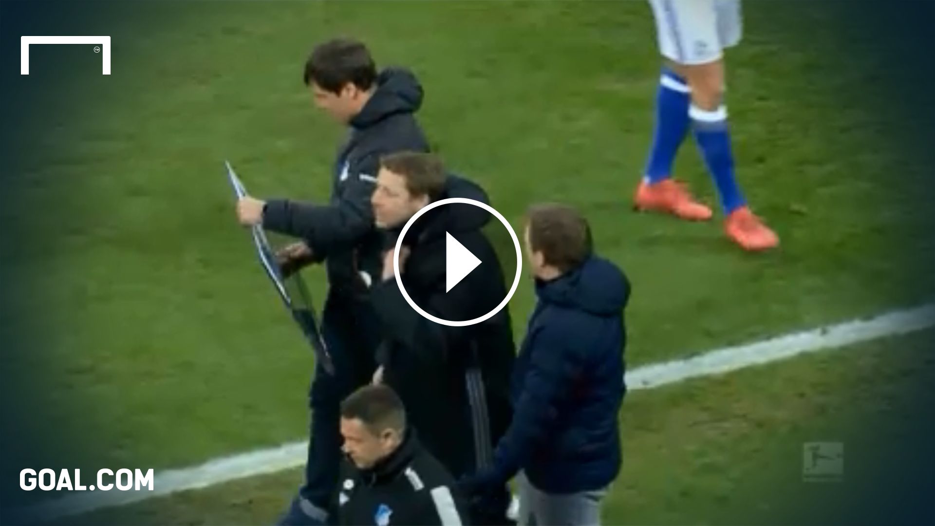 Nagelsmann Dachschaden