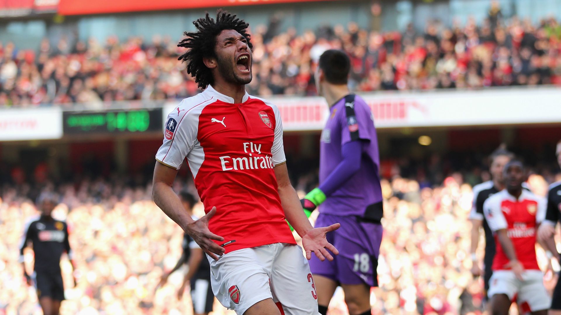Mohamed Elneny