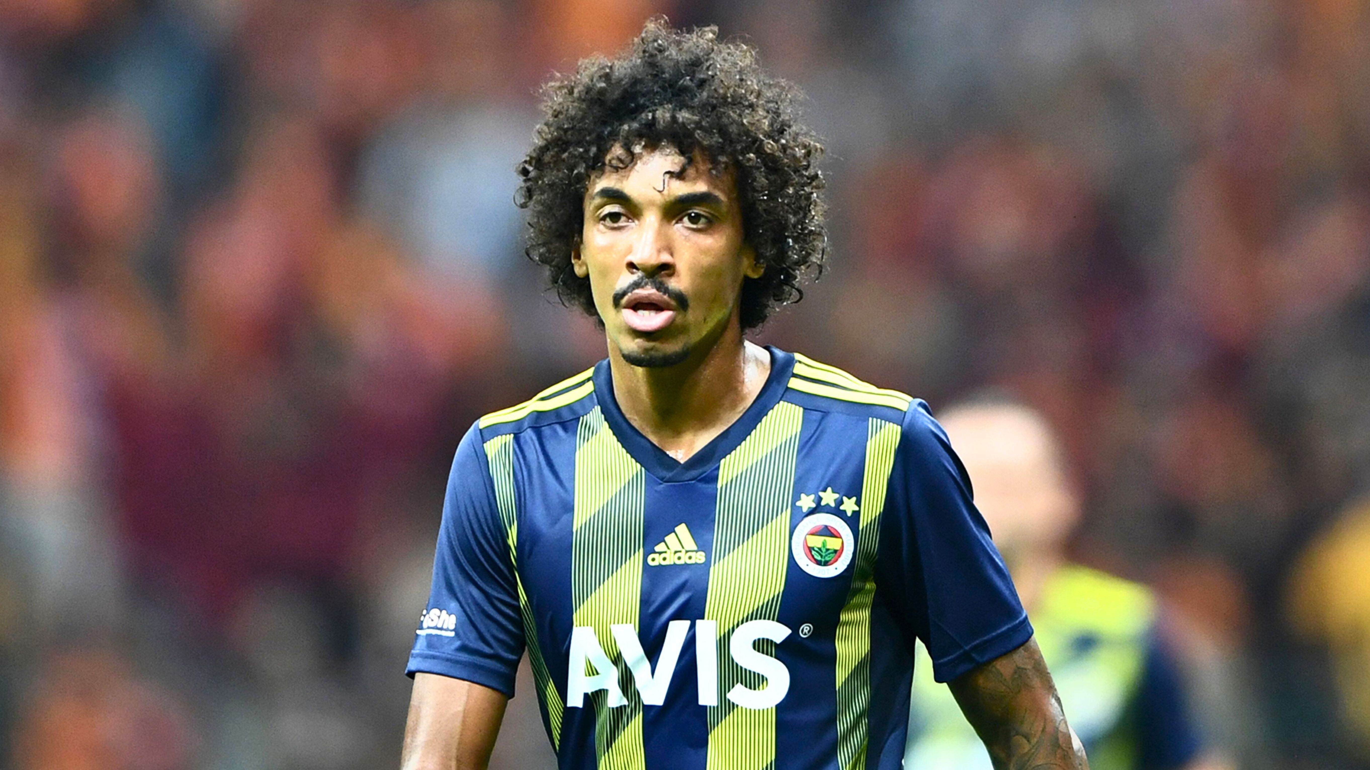 Luiz Gustavo Fenerbahce