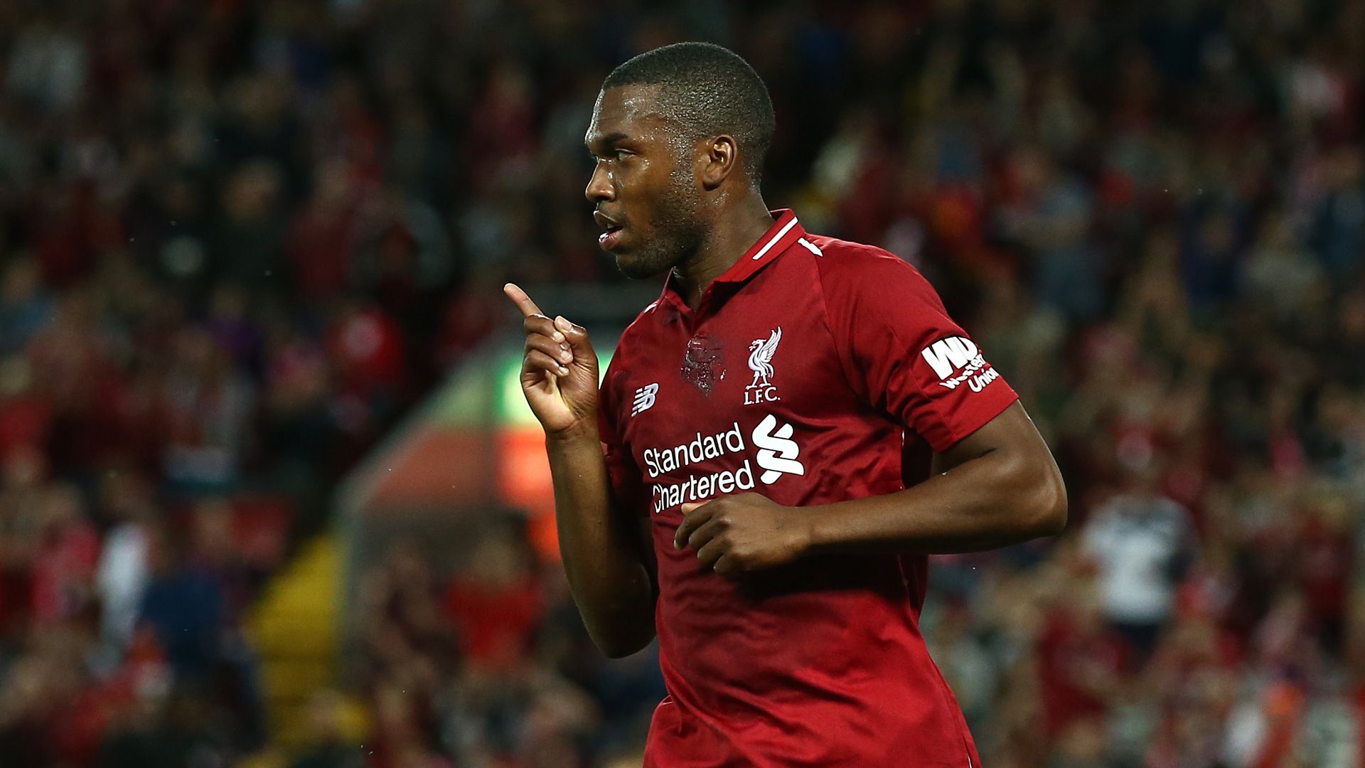Daniel Sturridge Liverpool Champions League 18092018