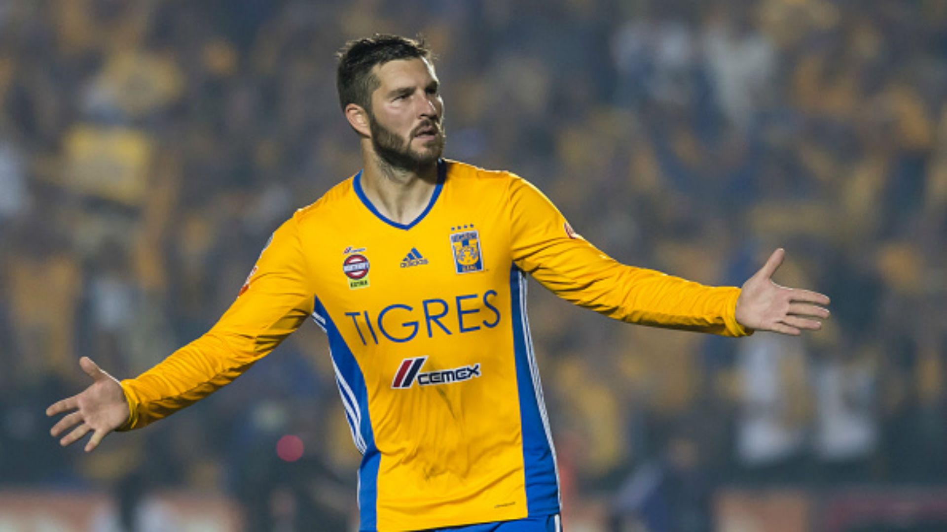 André-Pierre Gignac Tigres UANL Liga MX Apertura 2016