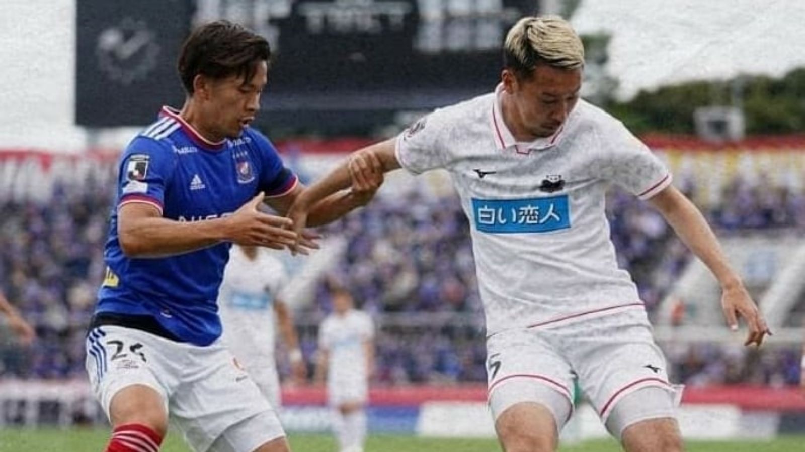 Yokohama F. Marinos v Consadole Sapporo : 2021