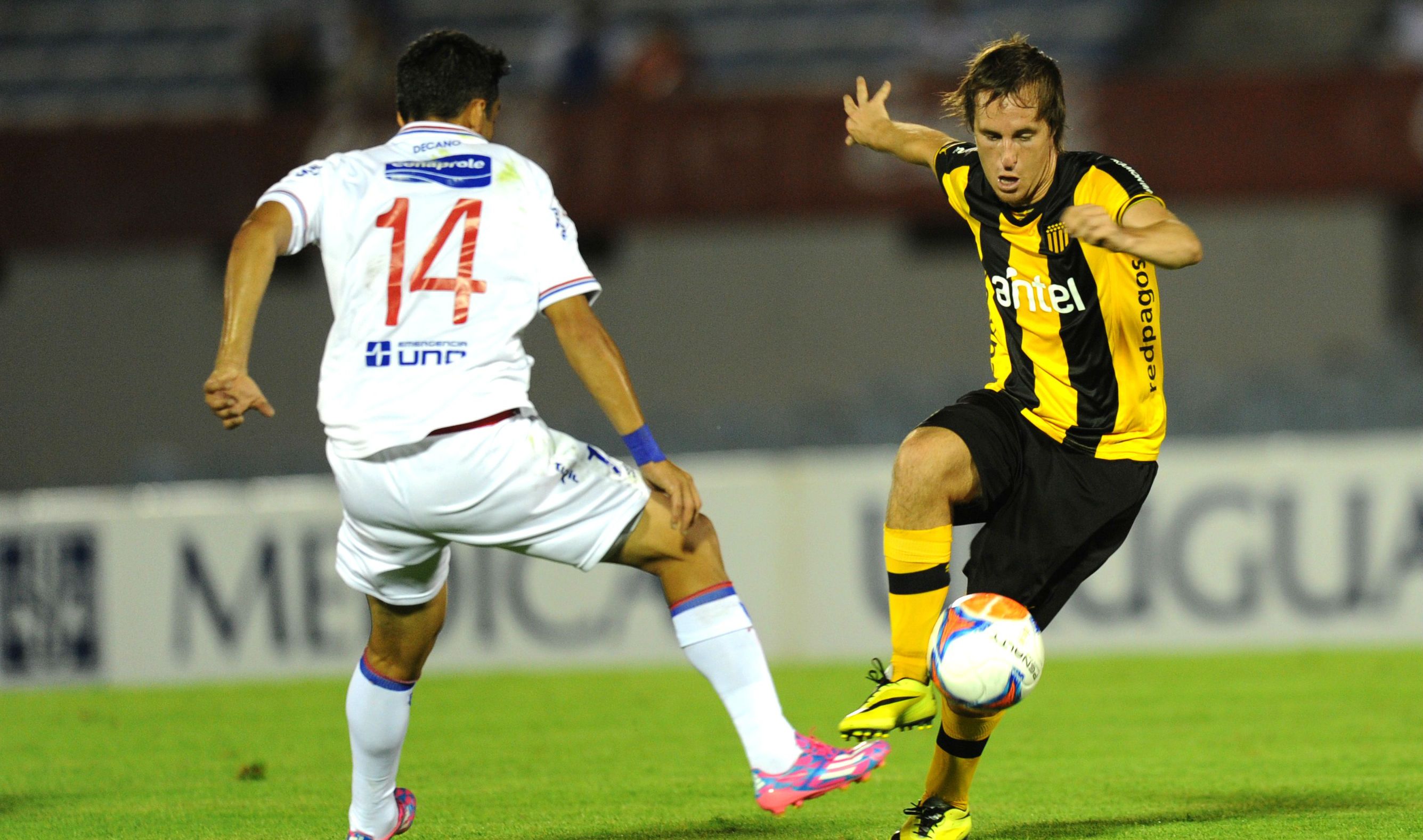 Novick (Paraguay) 11-12-19