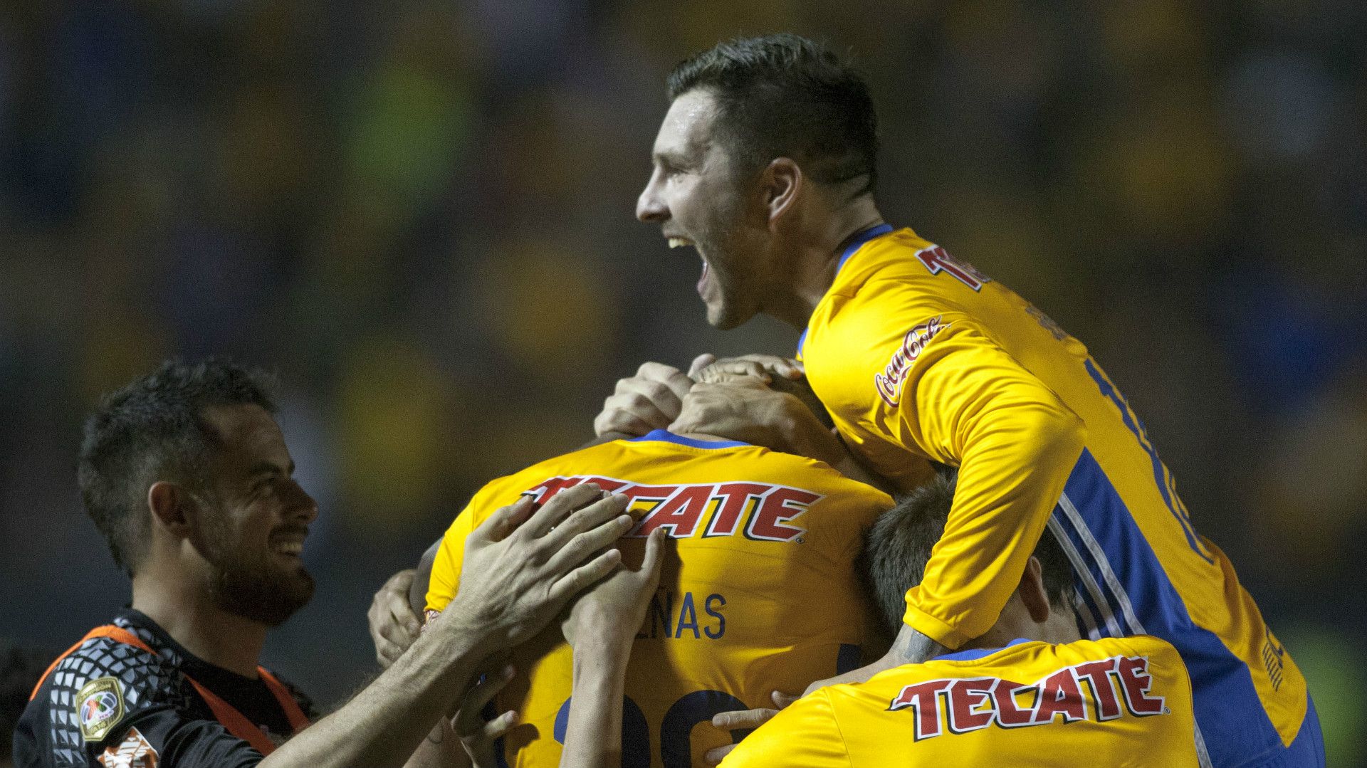 Tigres
