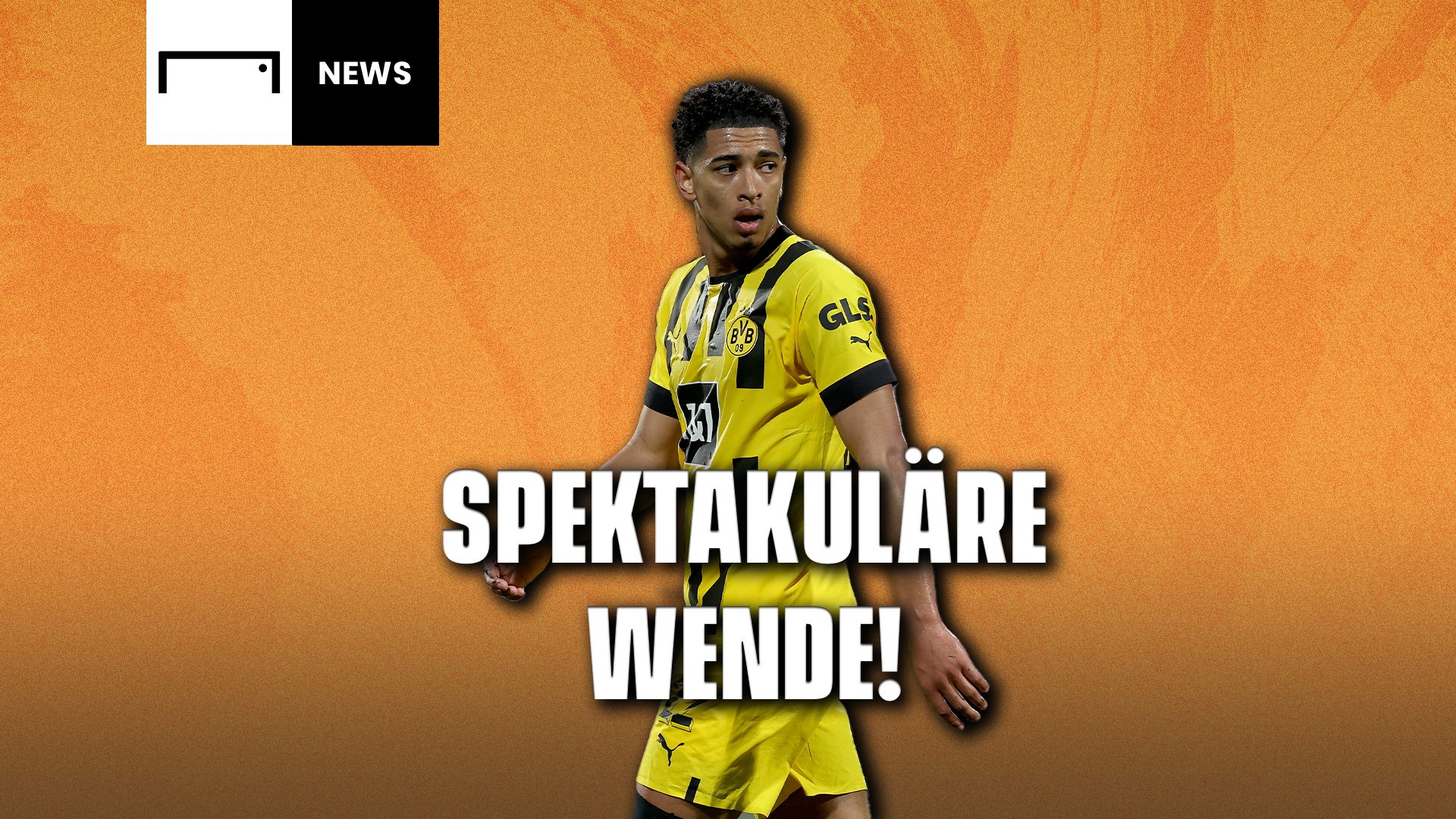 GOAL News Bellingham