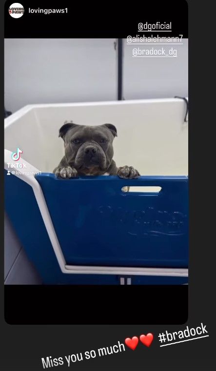 Alisha Lehmann dog Bradock