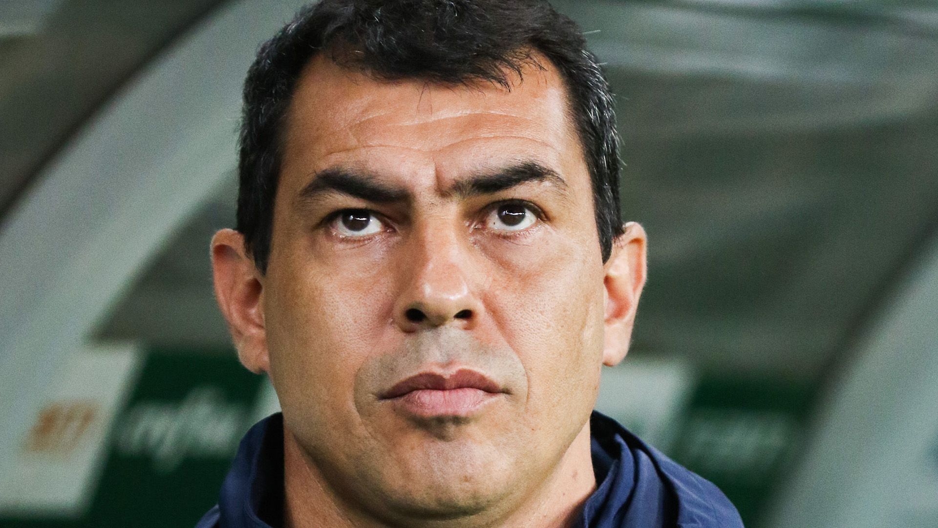 Fabio Carille Palmeiras Corinthians Brasileirao Serie A 12072017