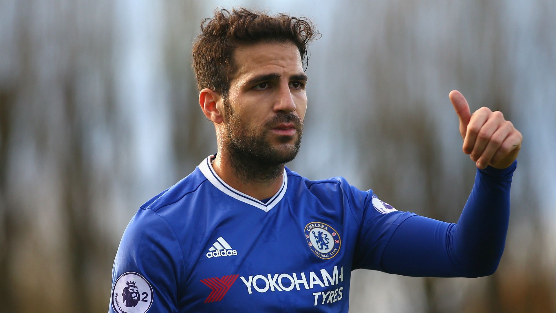 Cesc Fabregas Chelsea 2016