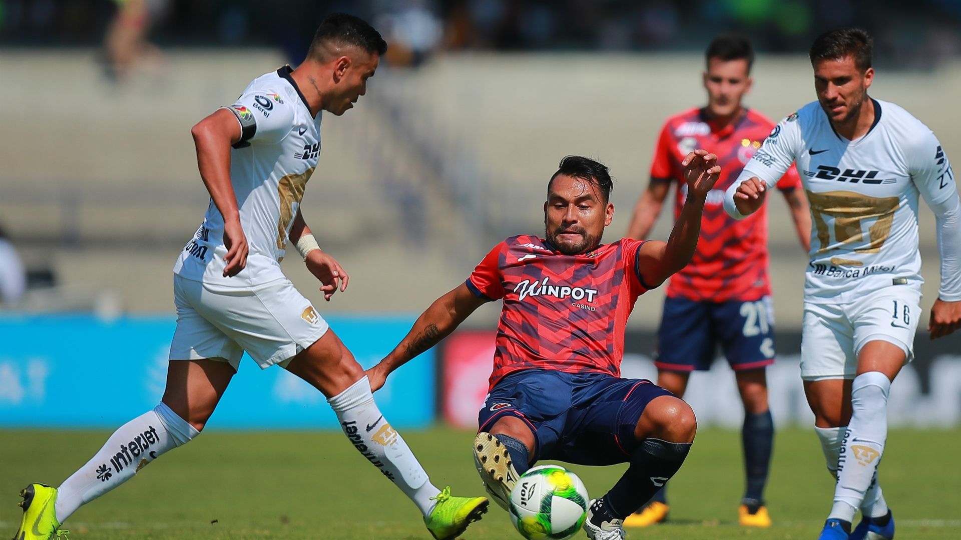 Pumas Veracruz
