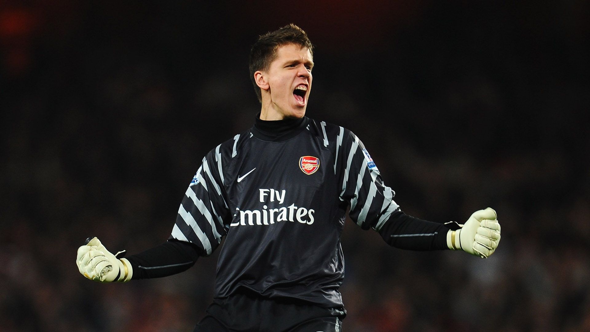 Wojciech Szczesny Arsenal Premier League