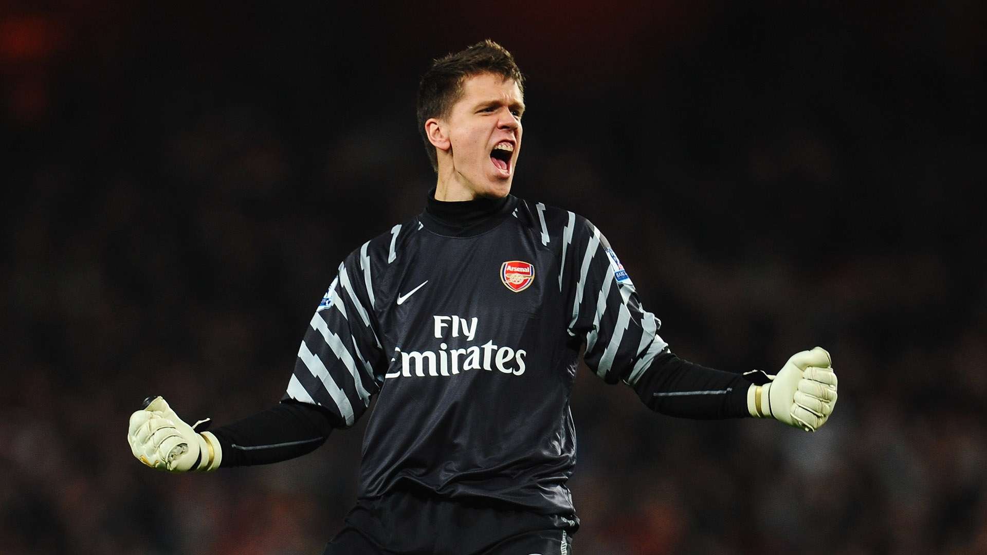Wojciech Szczesny Arsenal Premier League