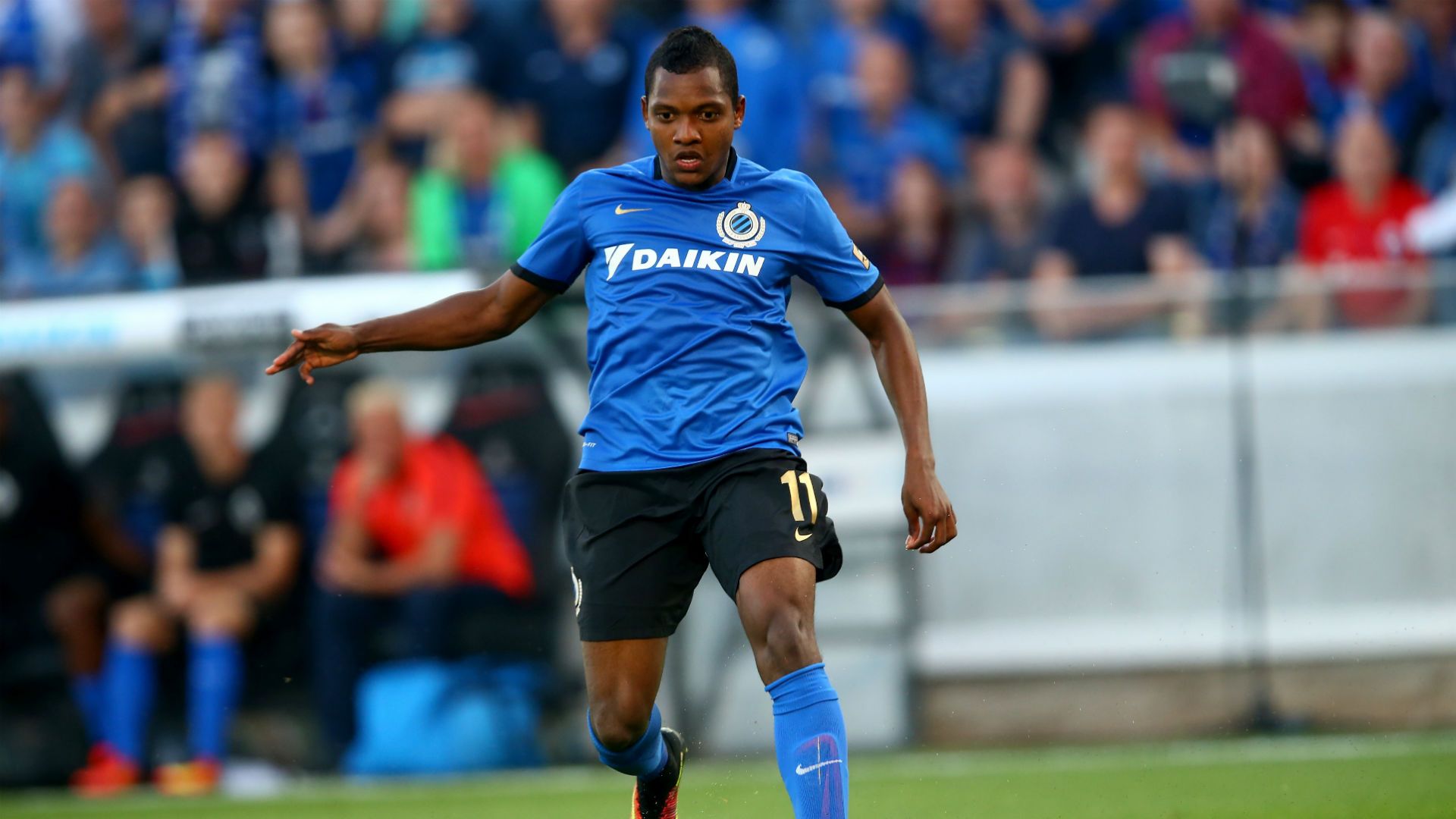 José Izquierdo Brujas 2016