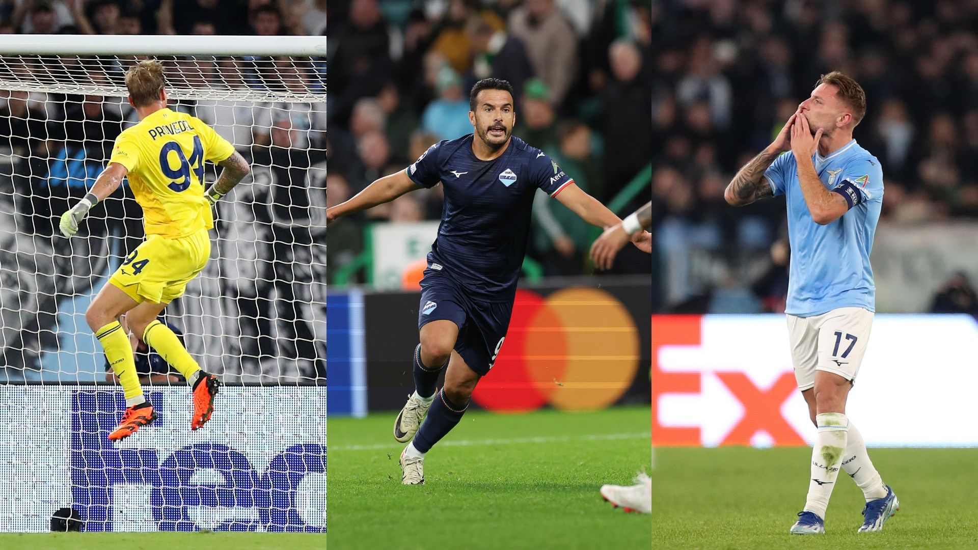 Provedel Pedro Immobile Lazio