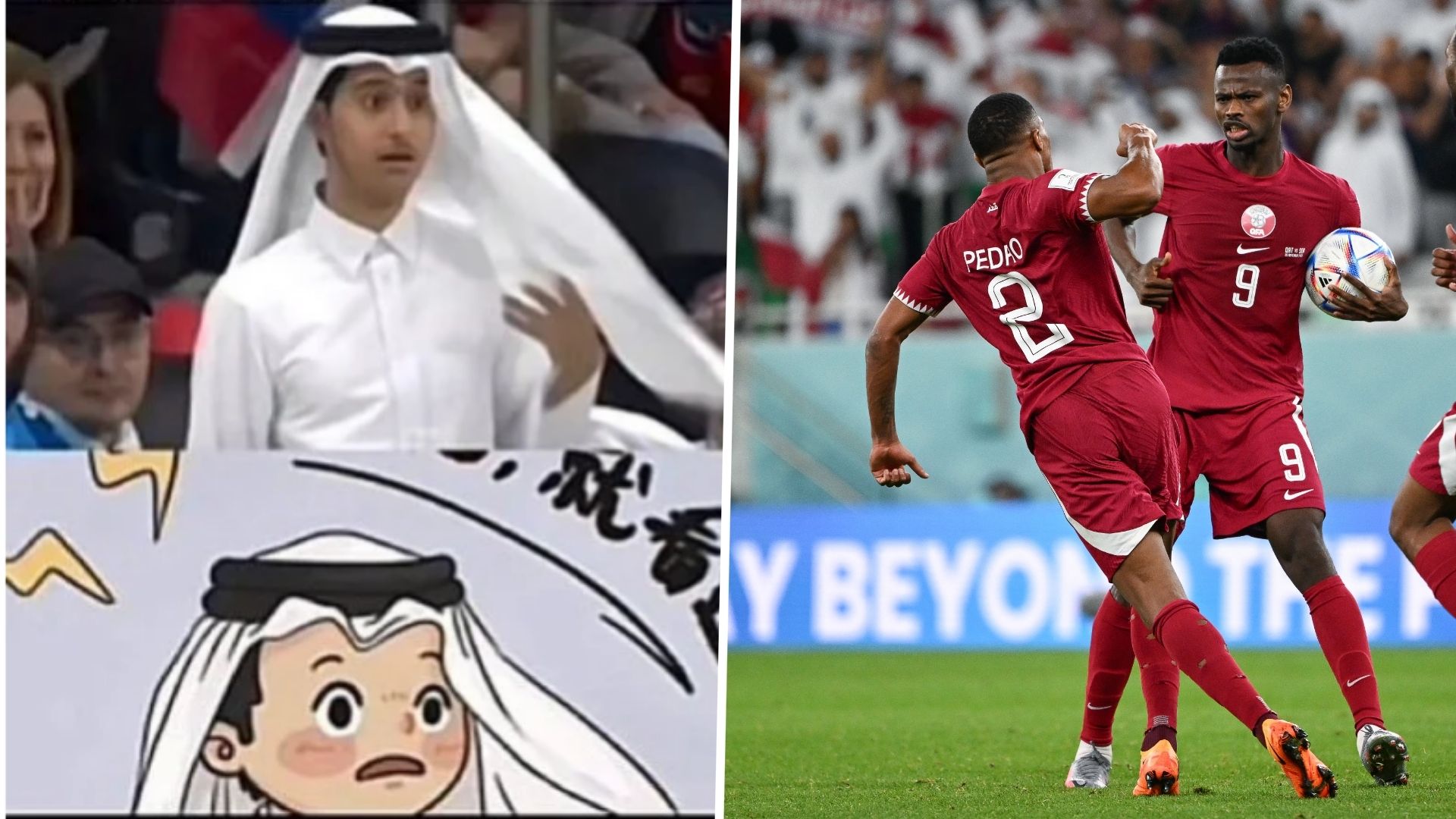 Qatar fan