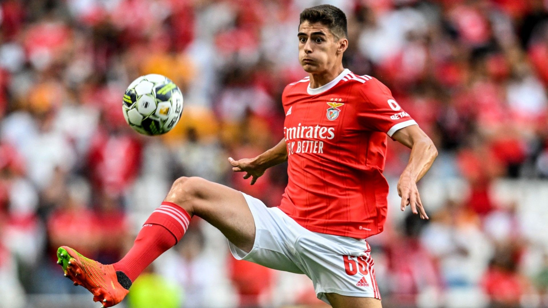 Antonio Silva Benfica 2022-23