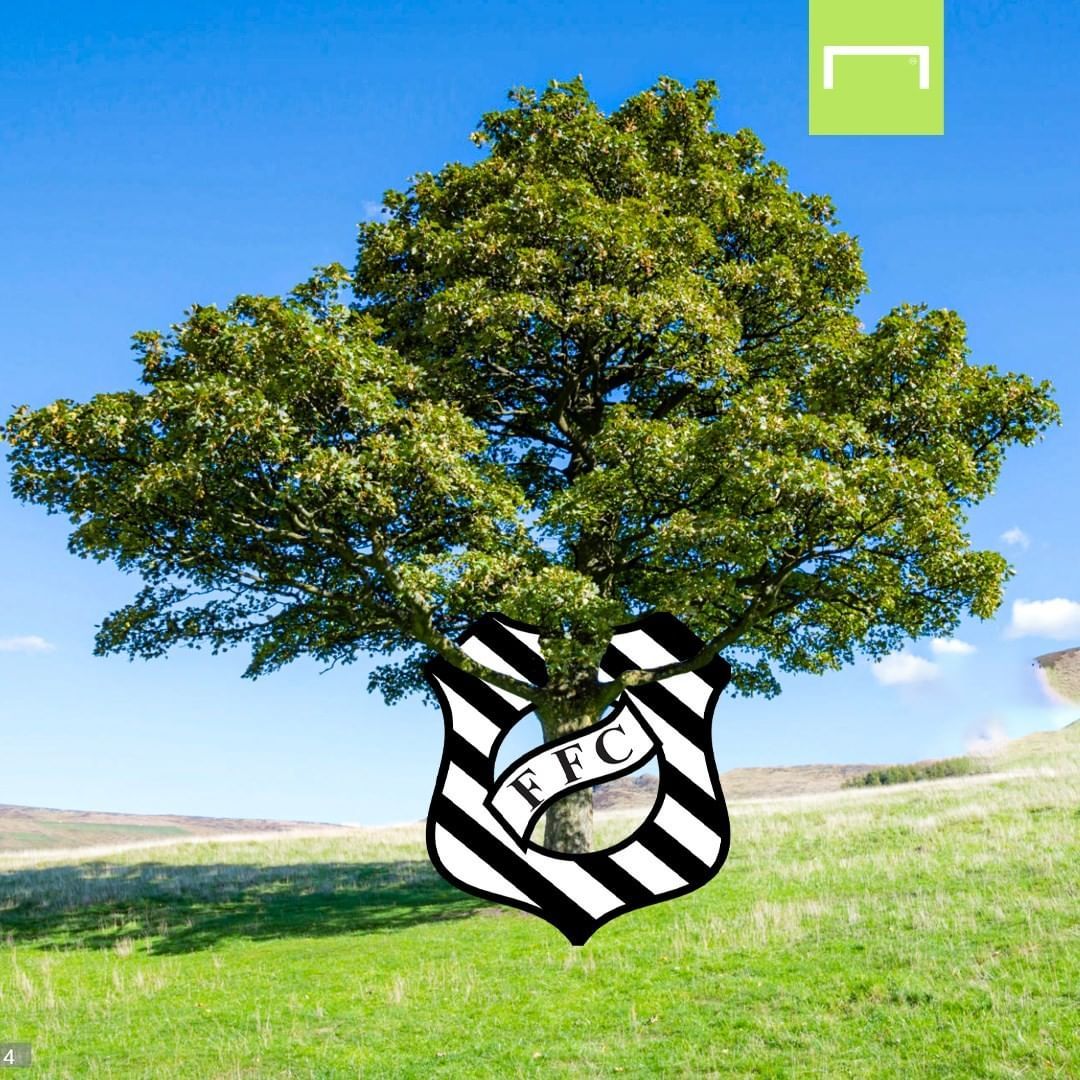 Escudos realistas - Figueirense