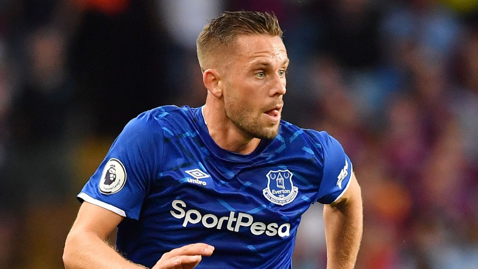 Gylfi Sigurdsson, Everton