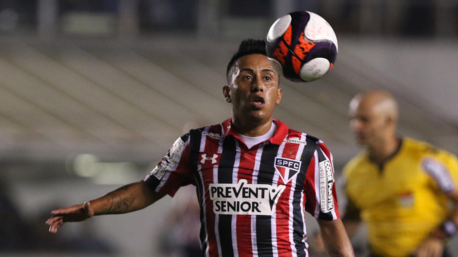 Cueva São Paulo Santos Paulista 15022017