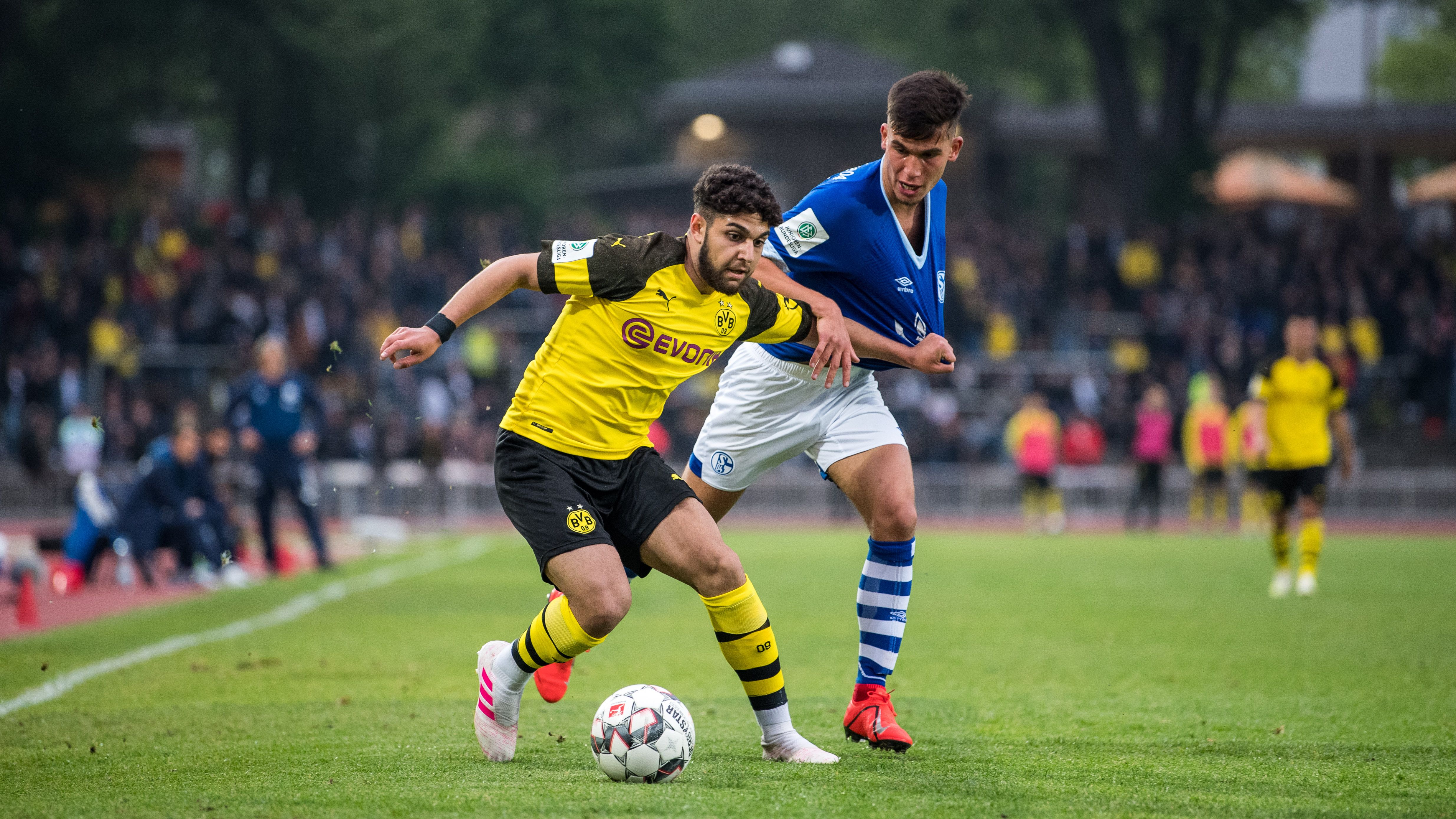 BVB Schalke 04 U19