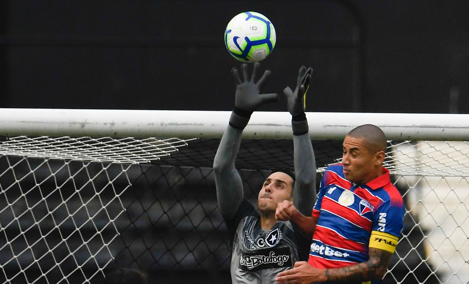 Gatito (Paraguay) 02-06-19