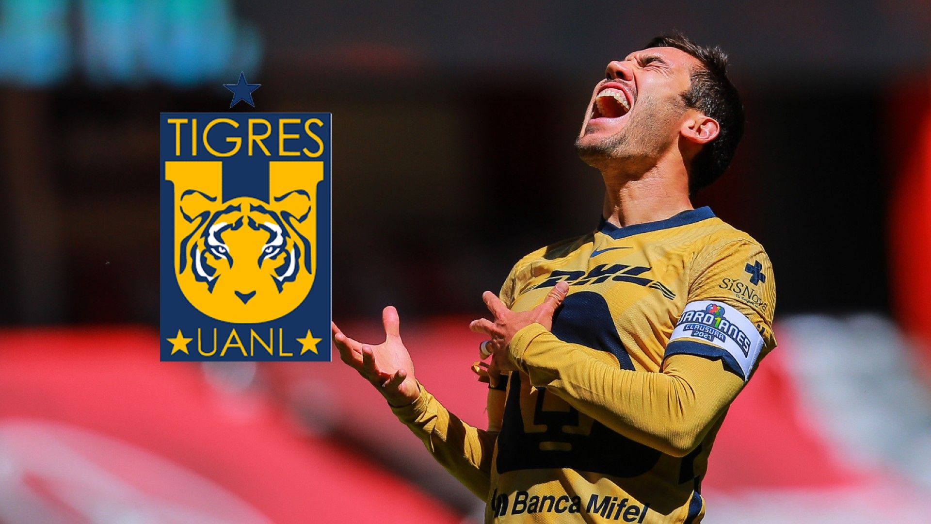Juan Pablo Vigón Tigres