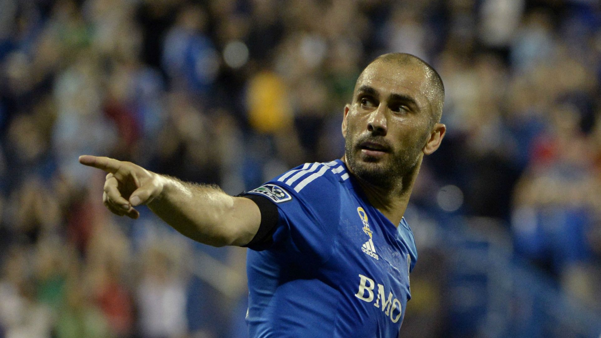 Marco Di Vaio Montreal Impact MLS 09102014