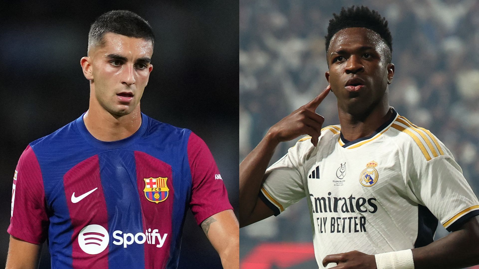 Vinicius Ferran Torres