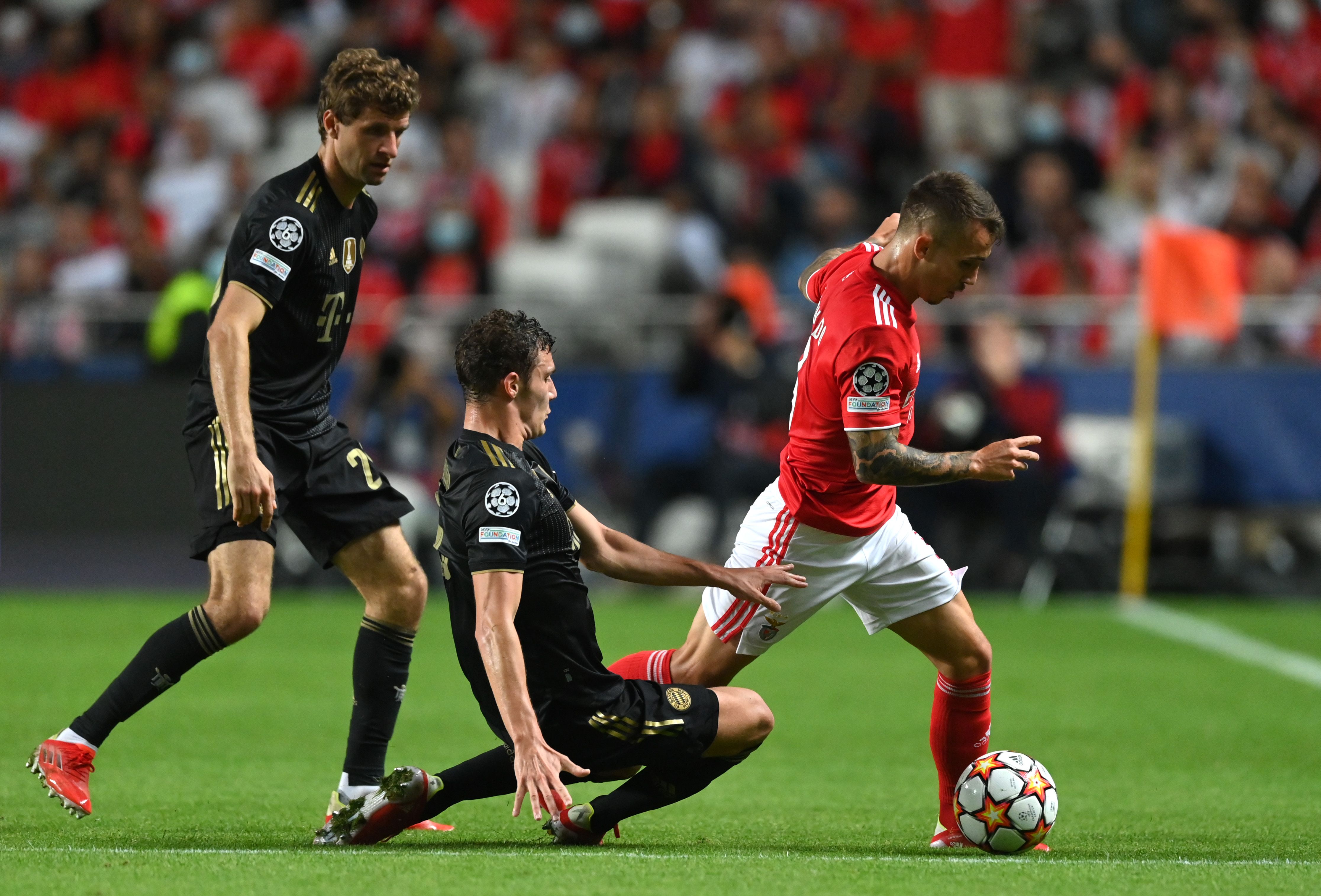 Grimaldo, Benfica