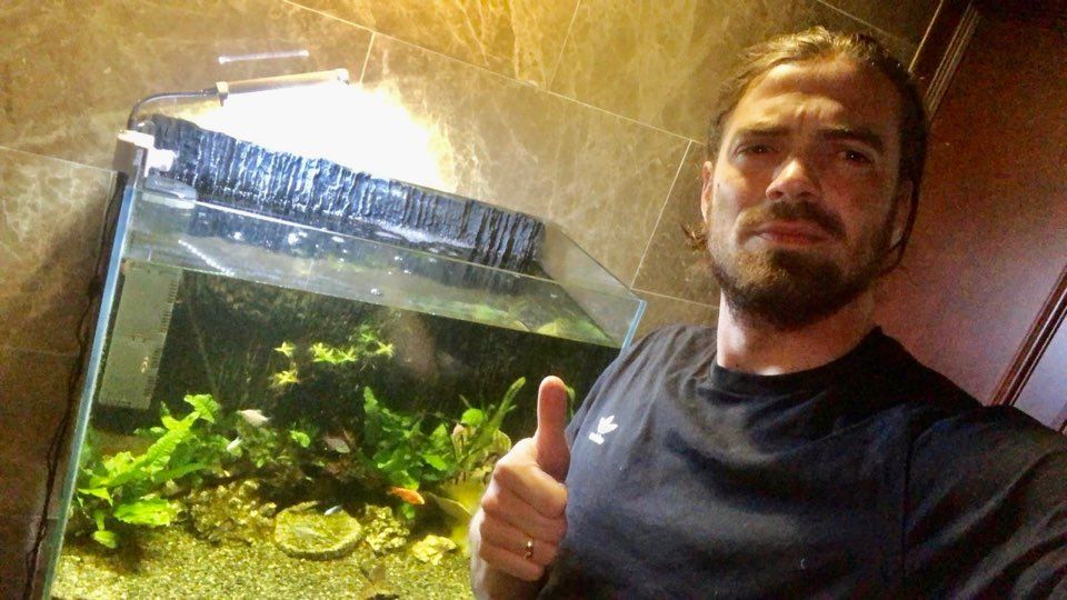 불투이스 열대어