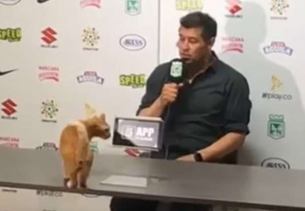 captura jorge almiron atletico nacional y un gato