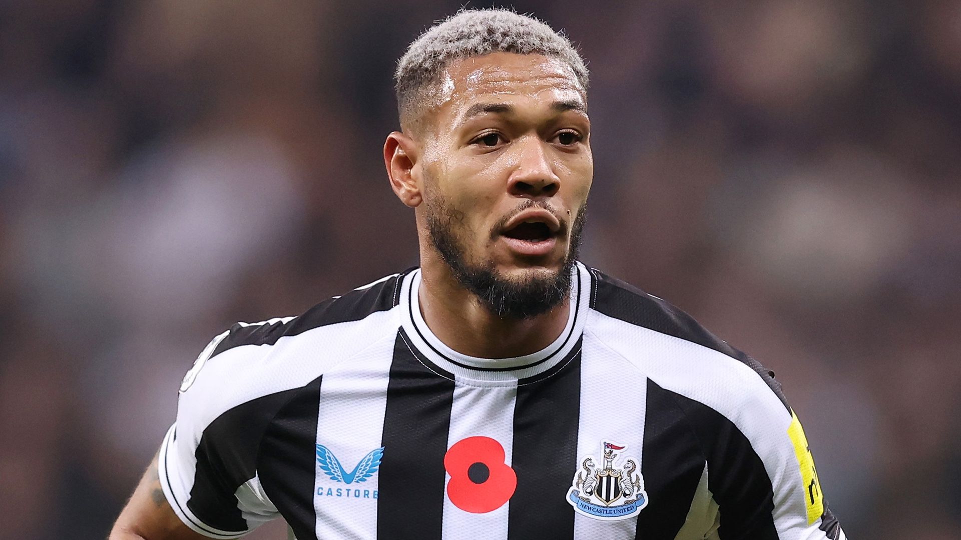 Joelinton Newcastle 2022-23
