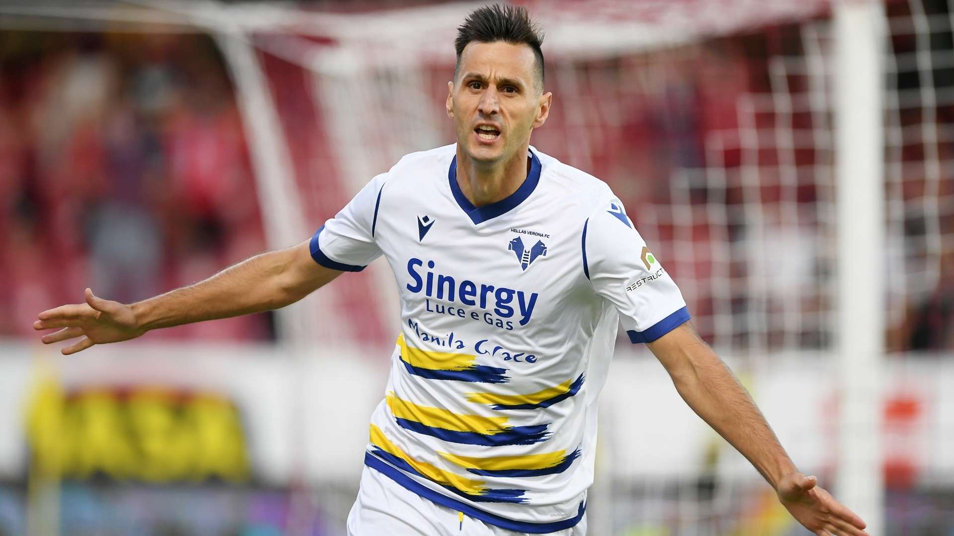 Kalinic Verona