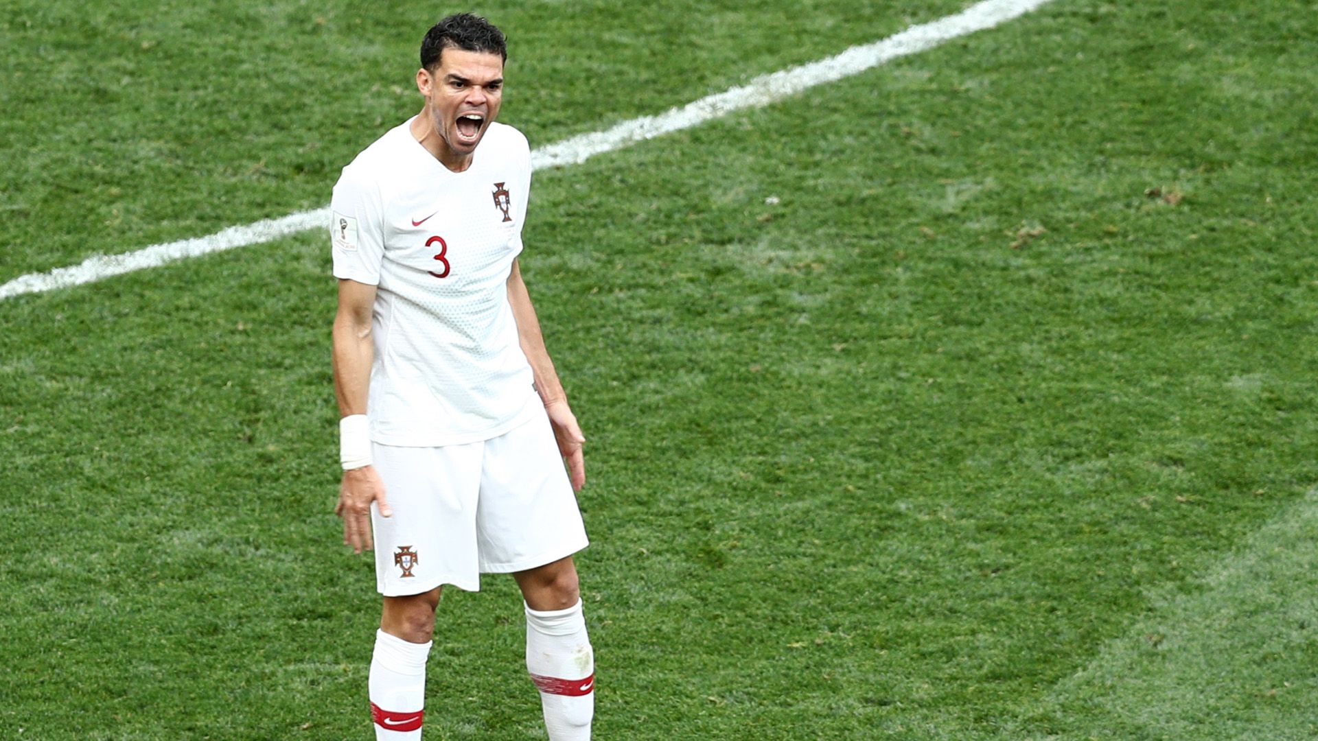 Pepe Portugal 20062018