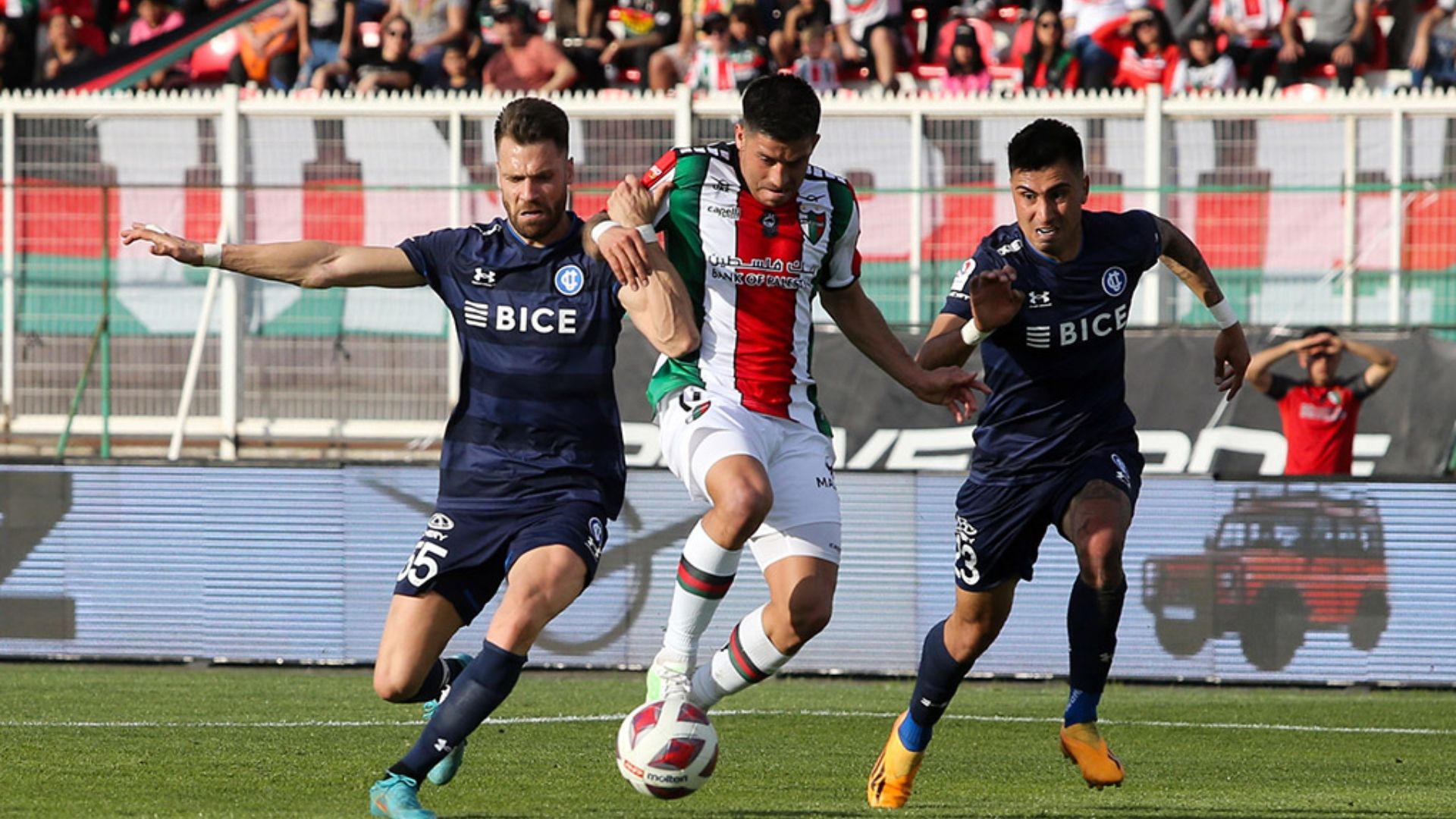 Palestino - Universidad Católica