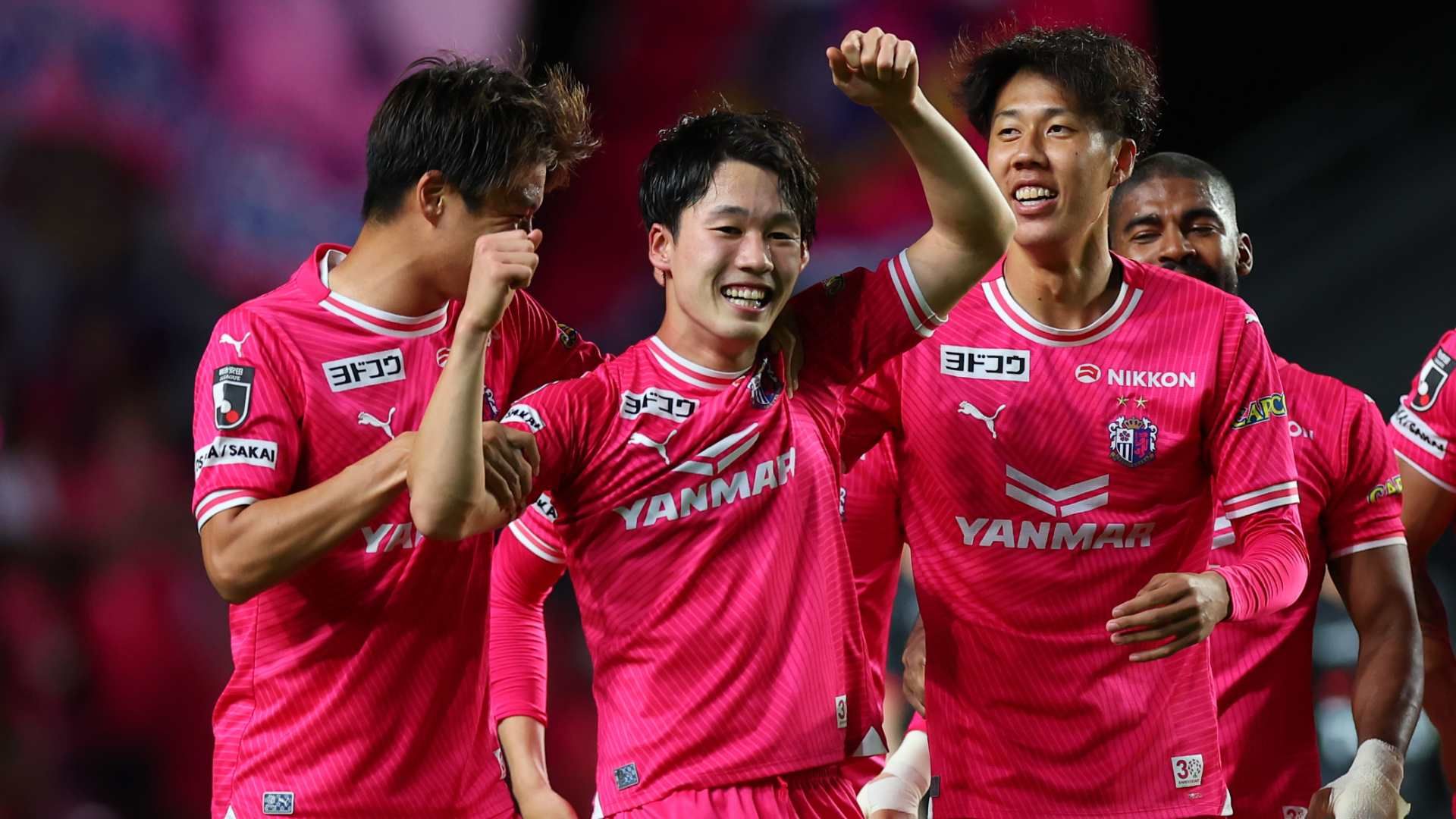cerezo