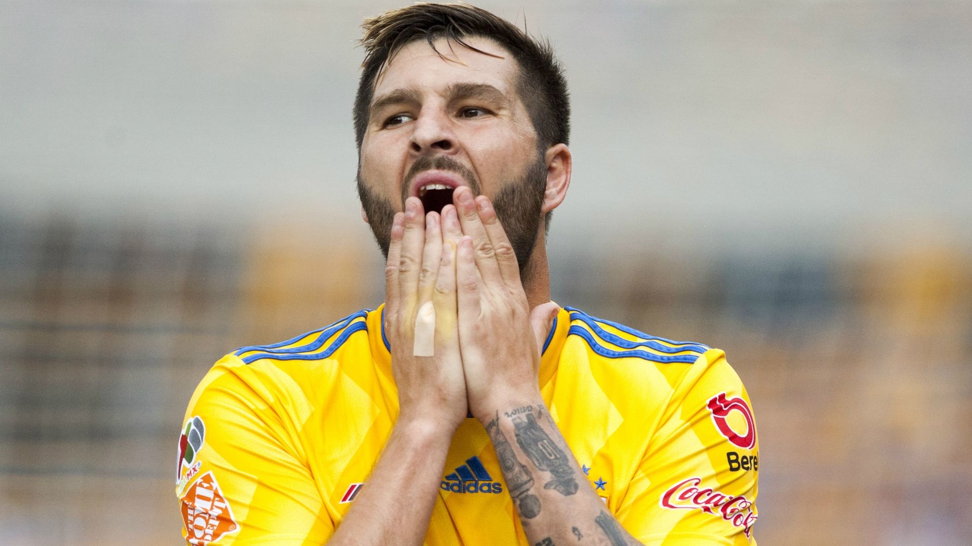 André-Pierre Gignac