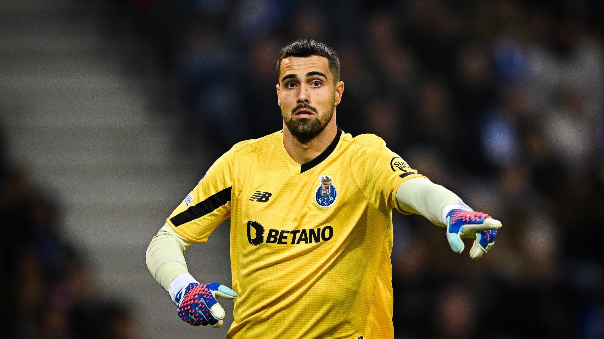 Diogo Costa Porto 2023-24