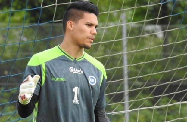 ไมเคิล ฟาลเคสการ์ด