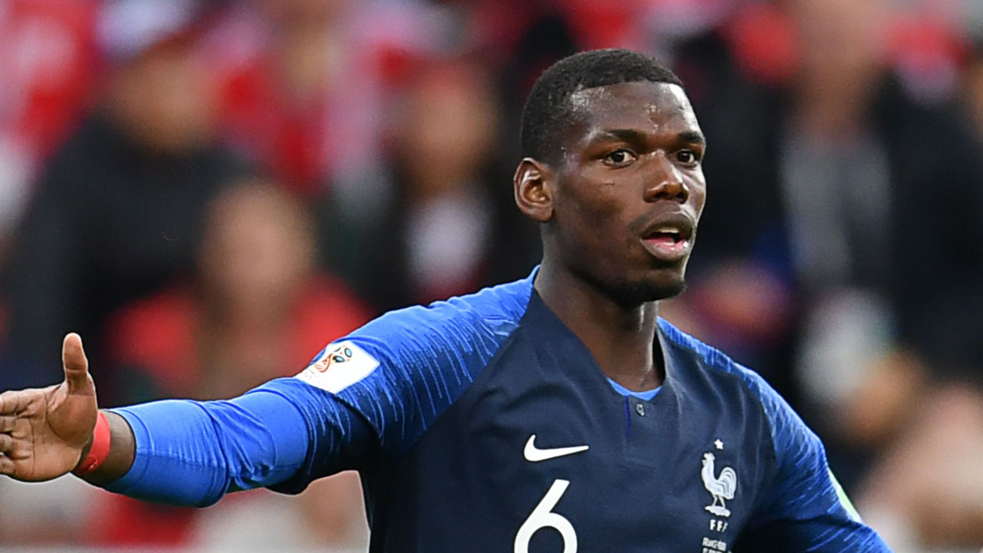 Paul Pogba France World Cup