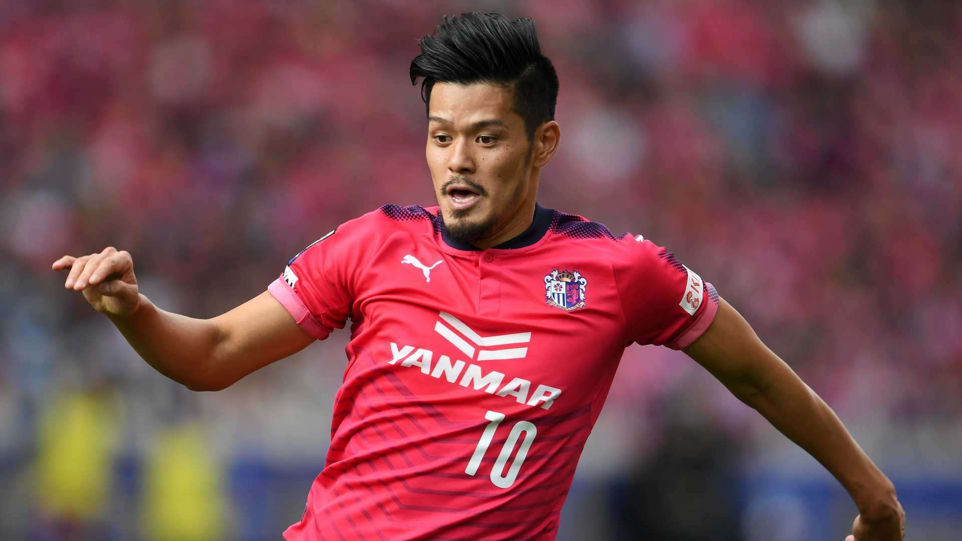 2017-11-26-cerezo-hotaru yamaguchi.