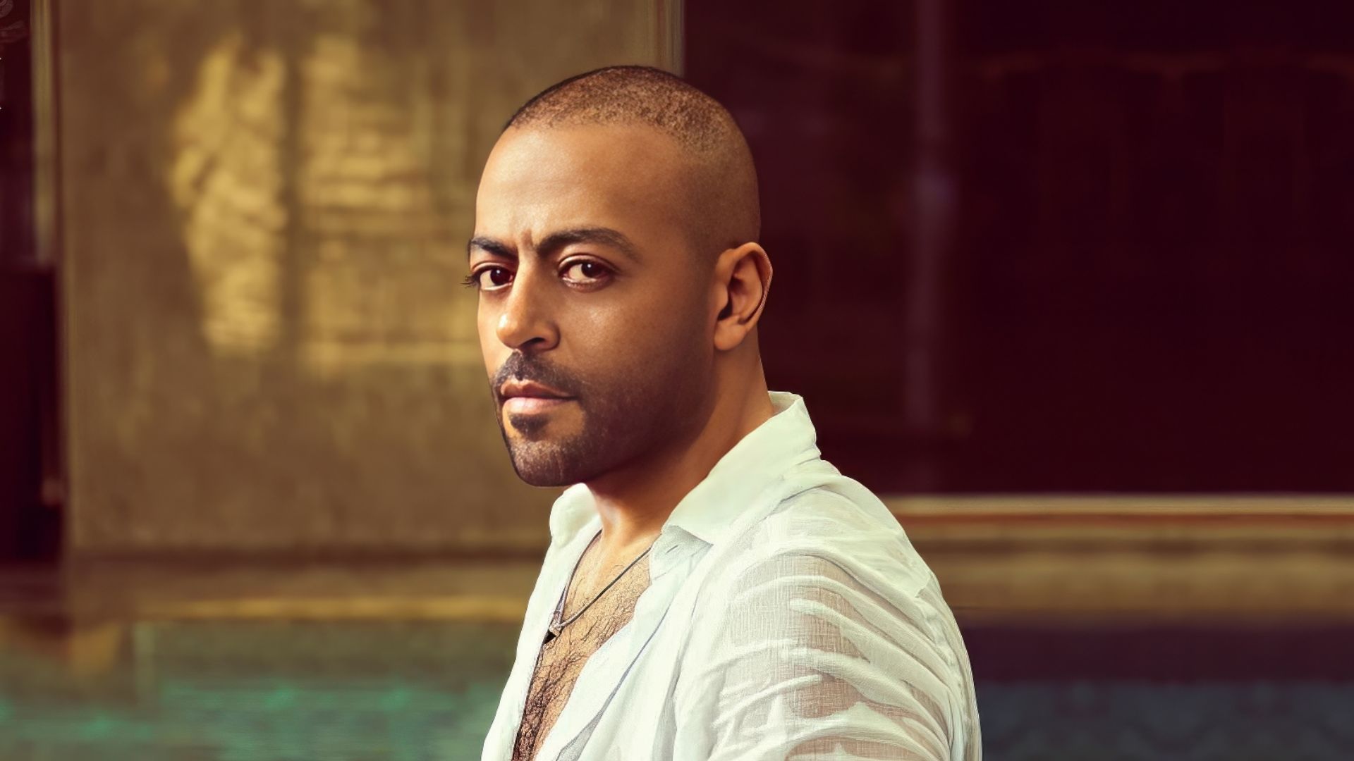 Tamer Ashour Abu Dhabi tickets