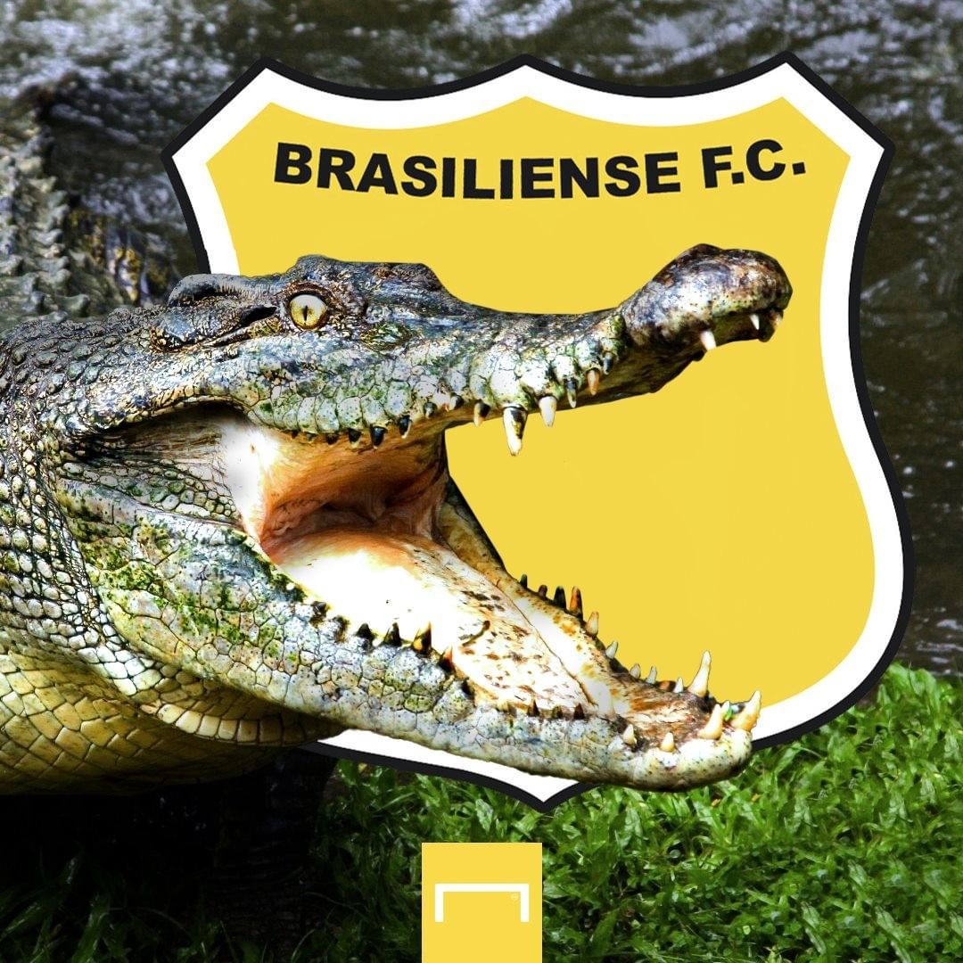 Escudos realistas - Brasiliense