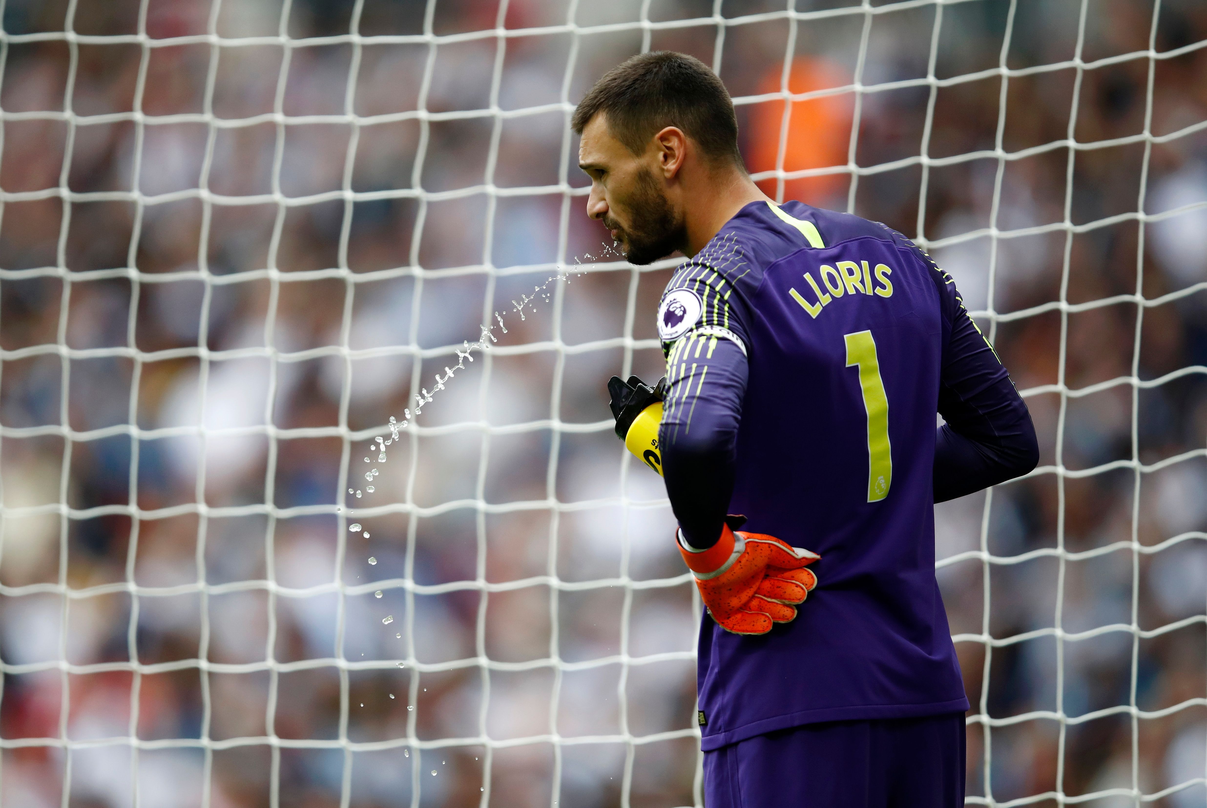 Hugo Lloris