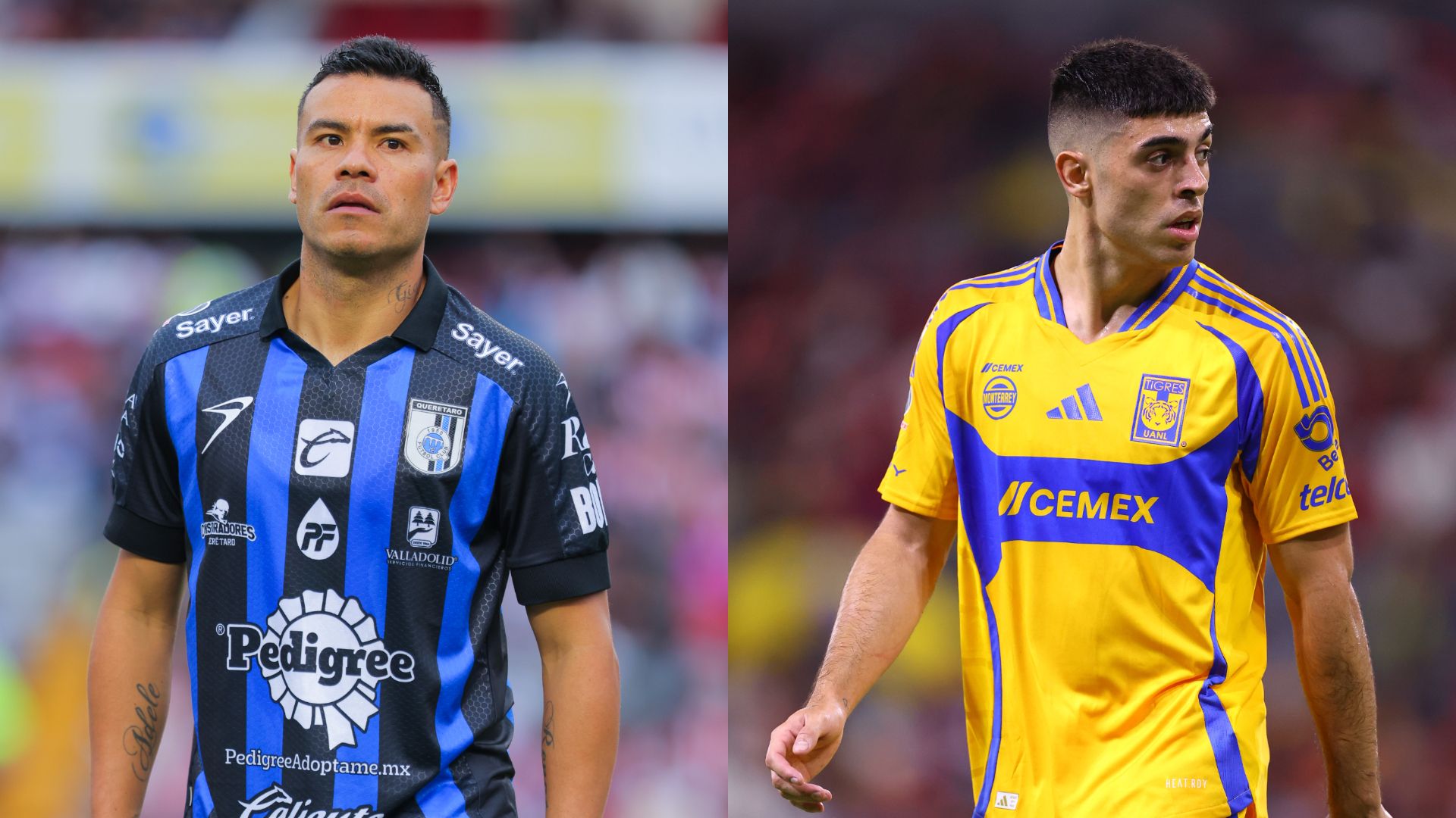 Querétaro Tigres Apertura 2024 Liga MX