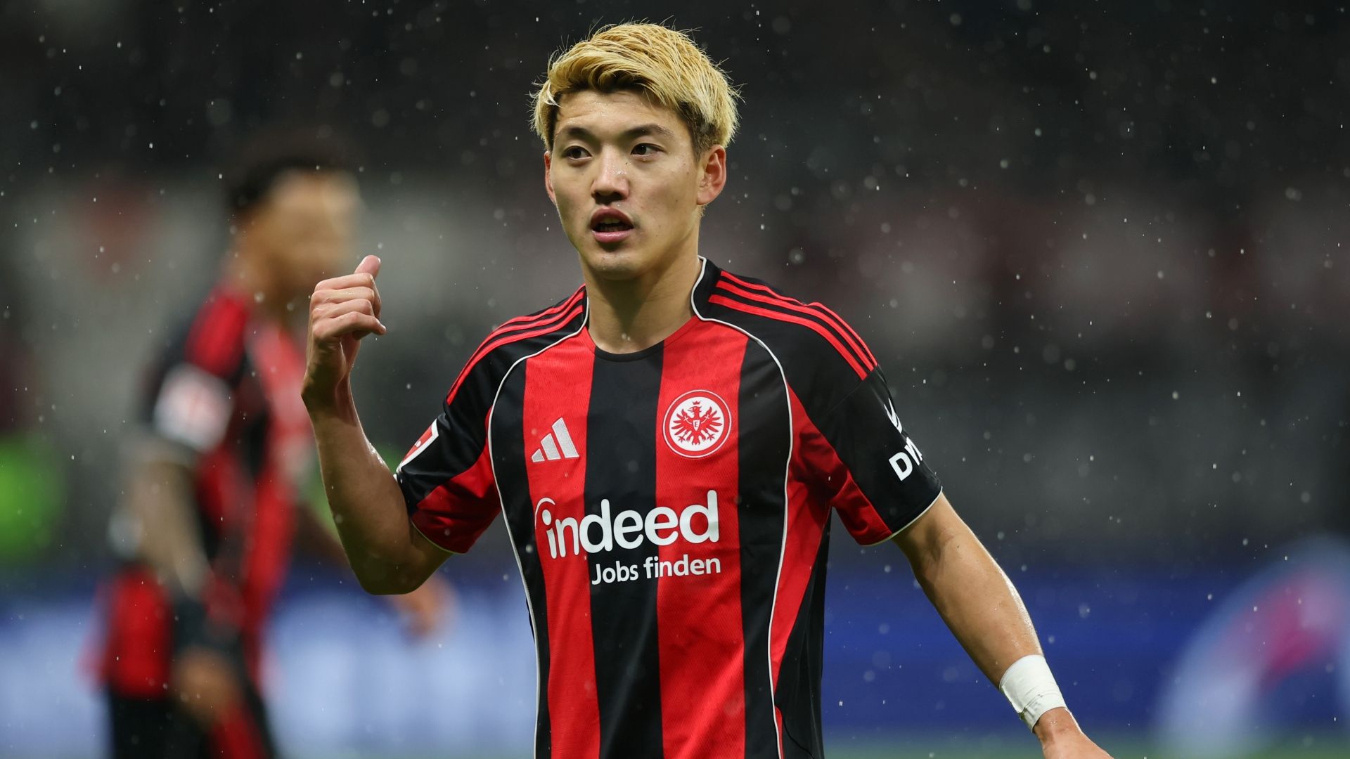 Ritsu Doan Frankfurt 11302025