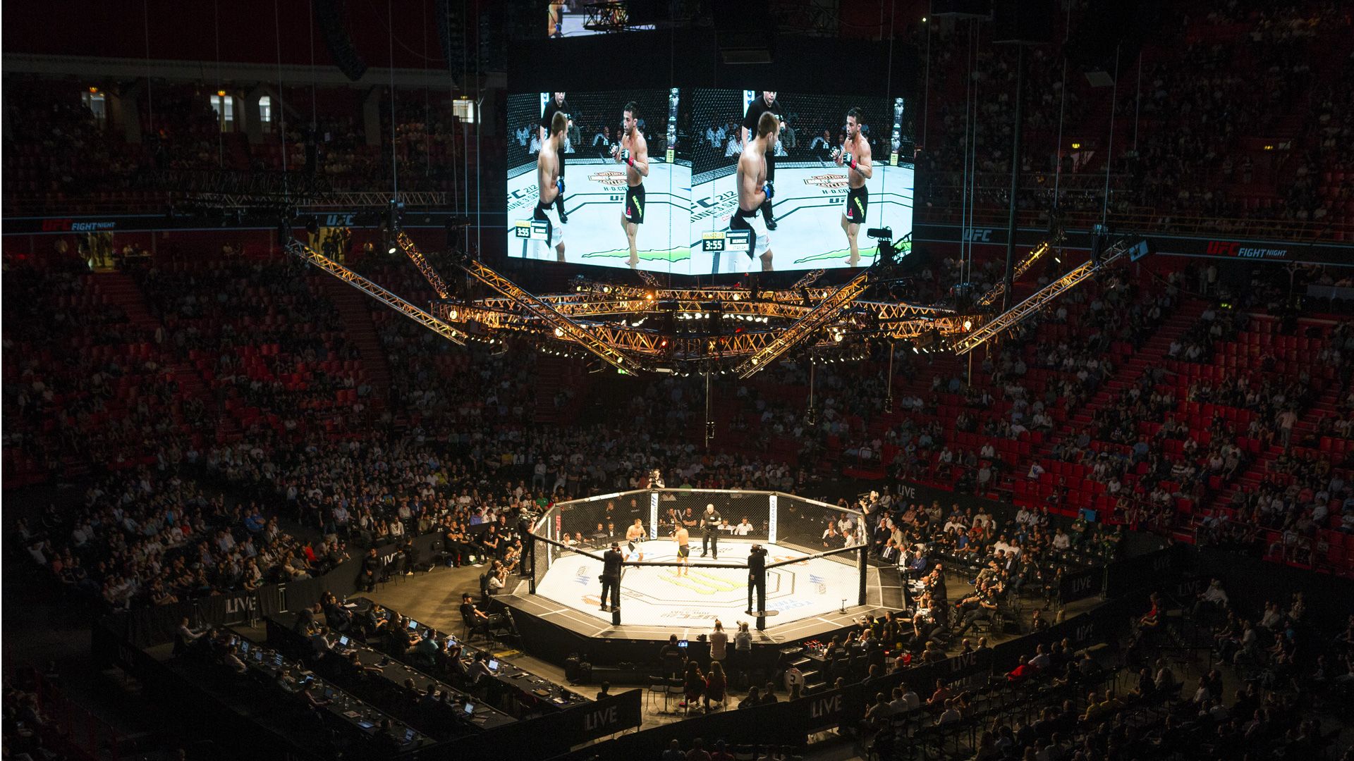 Octagon UFC MMC