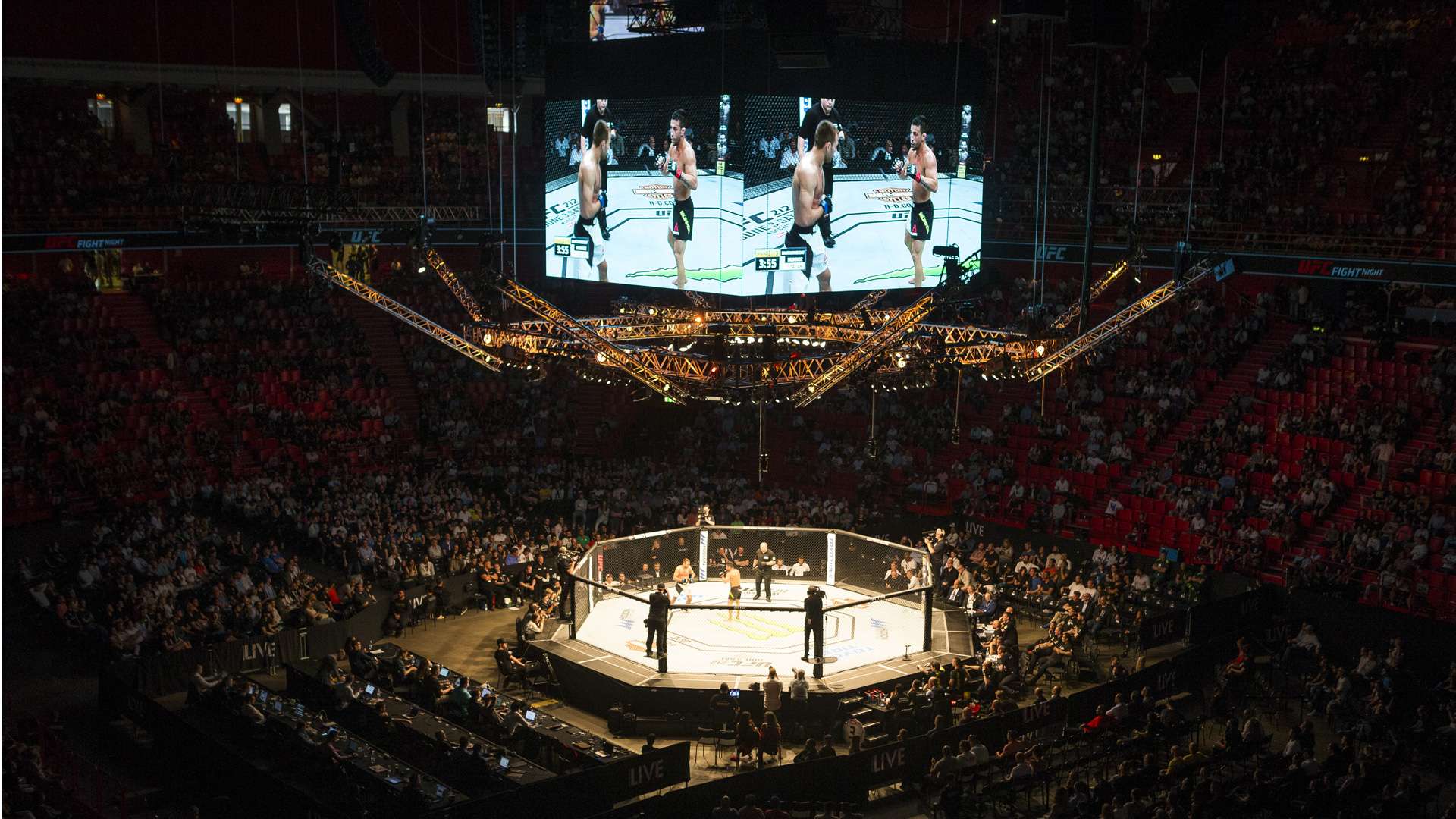 Octagon UFC MMC