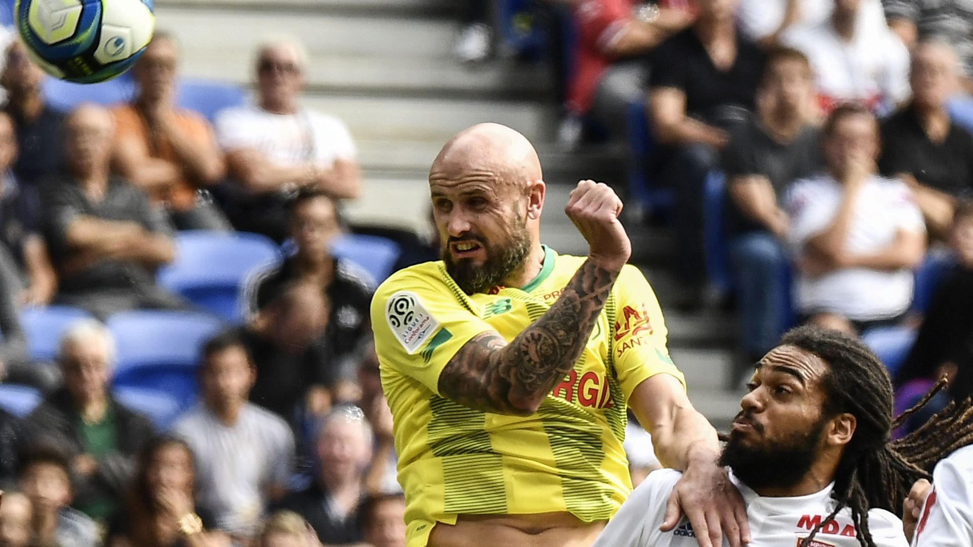 Nicolas Pallois Nantes